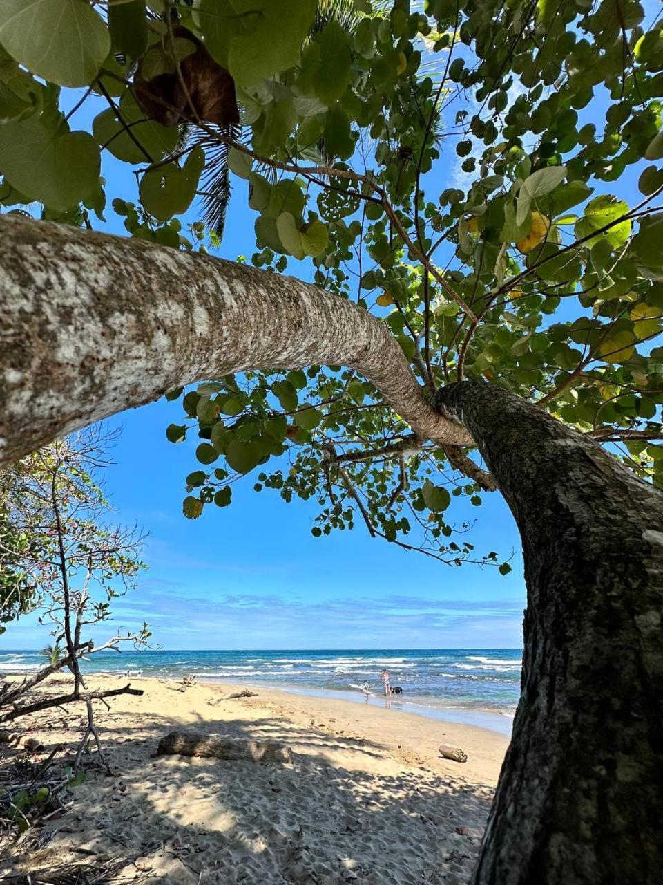 Caribbean Flow Puerto Viejo de Talamanca Extérieur photo